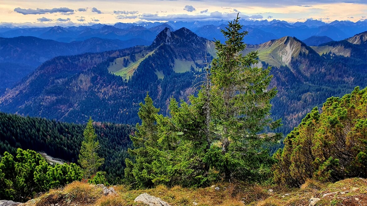 Hirschberg Gipfel